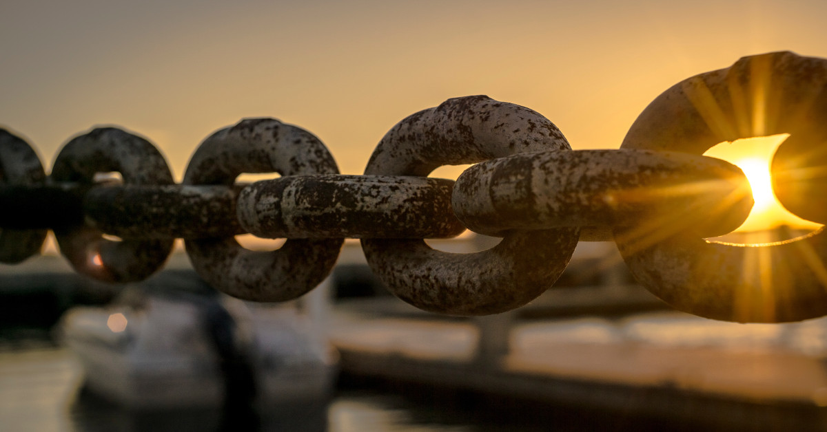 Understanding the Basics of Backlinks